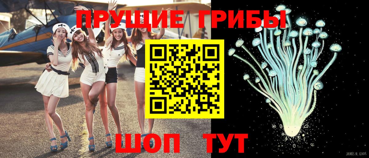 как найти наркотики  Галлюциногенные грибы мухоморы  Вход с VPN  Галлюциногенные грибы Psilocybe  Ногинск 